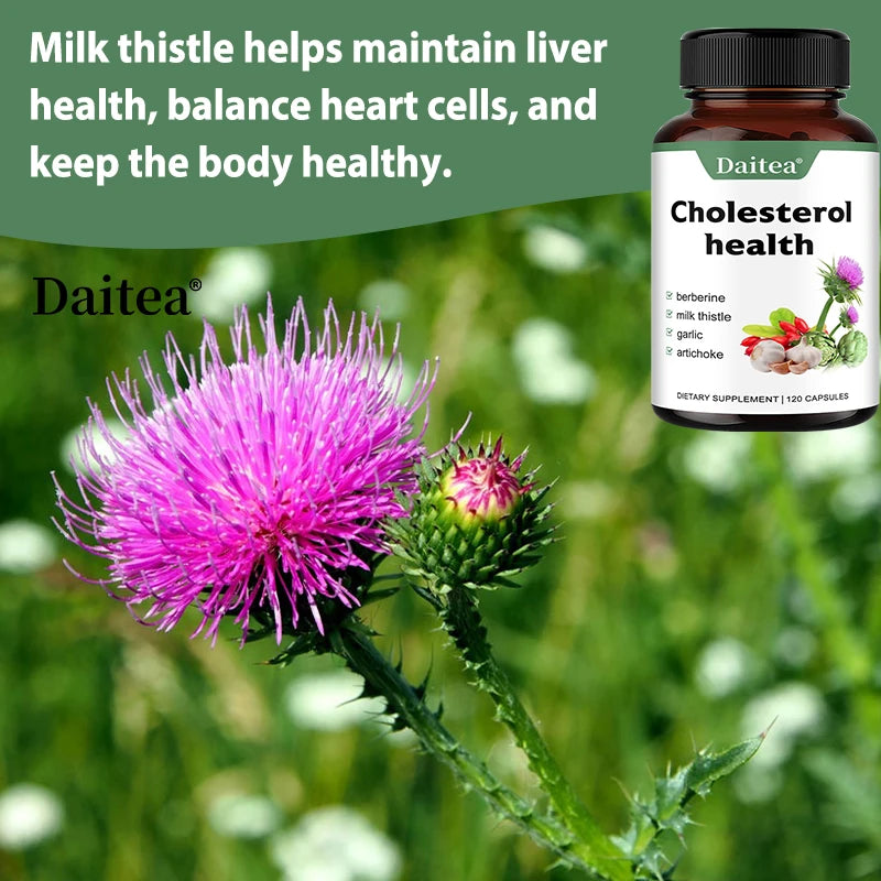 Cholesterol Health Capsules with Berberine, Milk Thistle, Garlic, Artichoke - Balanced Healthy Liver Function & Digestive System