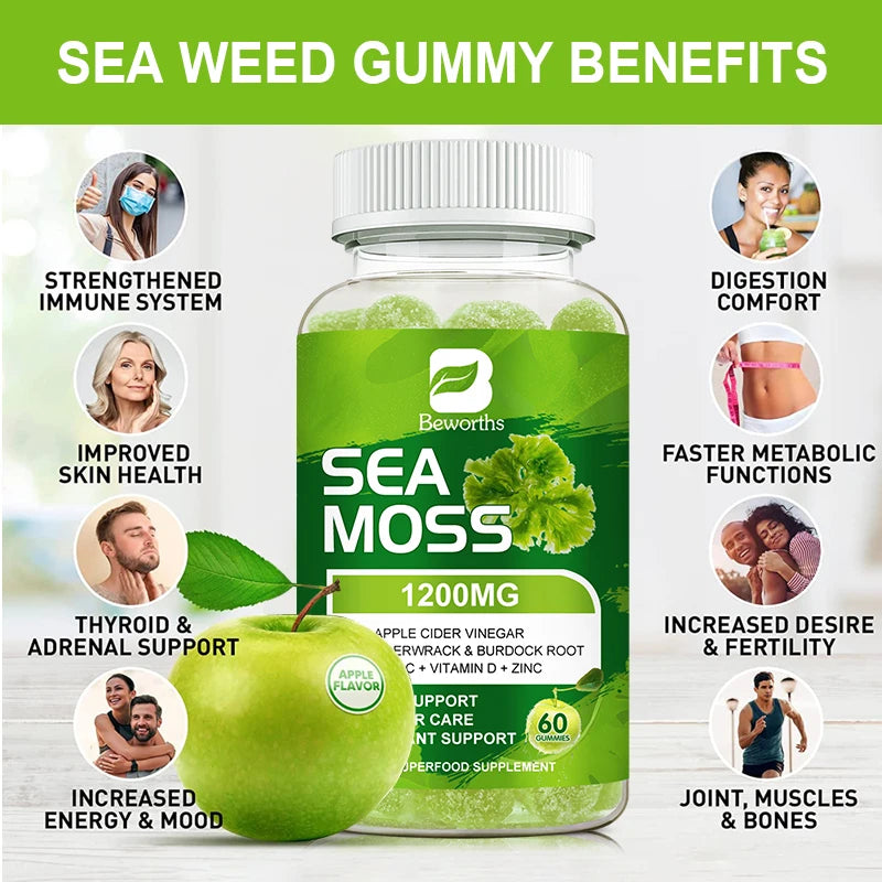 Sea Moss Gummies with Bladderwrack & Burdock Root for Thyroid Energy Immune Support Sea moss Supplement