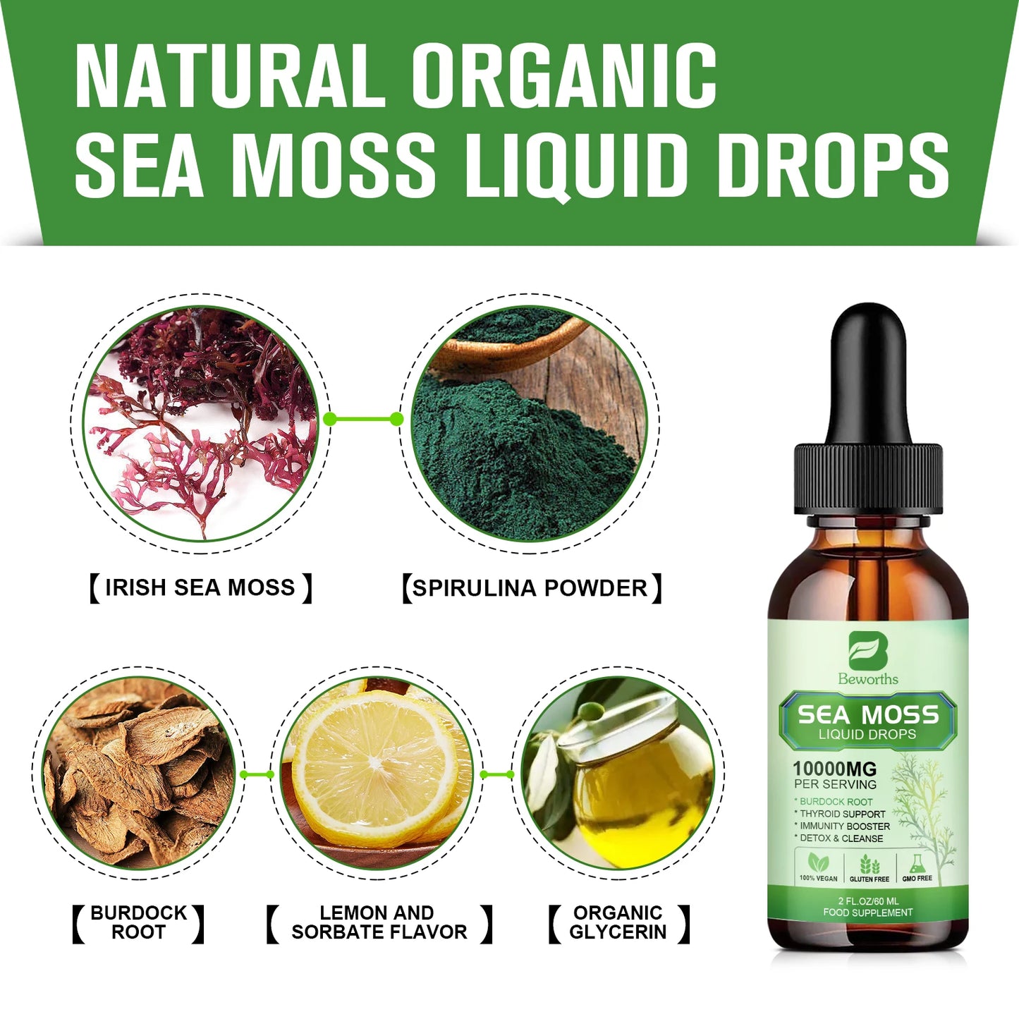 Sea Moss Liquid Drops - Sea Moss Black Seed Oil Multimineral Seamoss Supplement Support Antioxidant, Immune, Gut Health