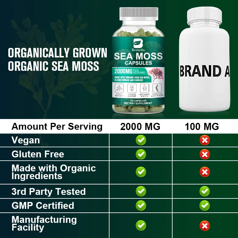 BEWORTHS Organic Sea Moss Pill for Intestinal Health & Immune Support Thyroid Support Skin, Joint Health Support Anti-Aging